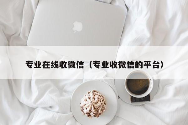 专业在线收微信（专业收微信的平台）