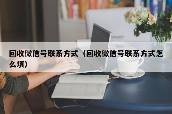 回收微信号联系方式（回收微信号联系方式怎么填）